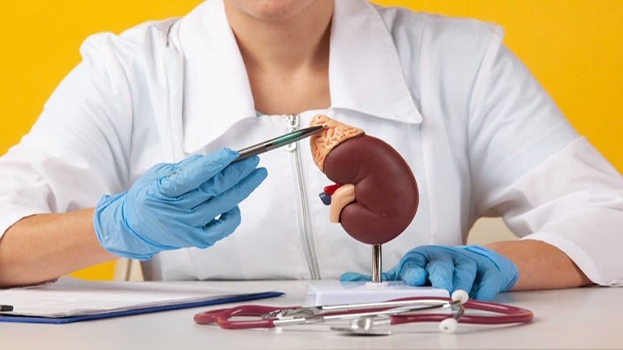 Kidney Transplant in India
